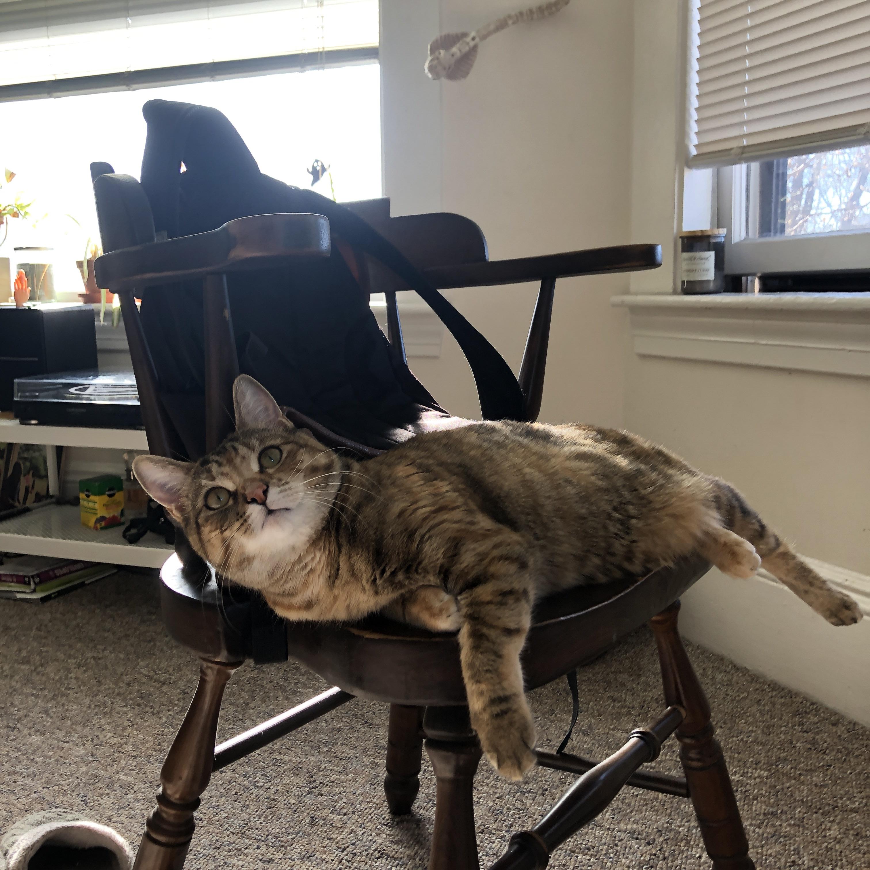 “足协推行足球普及示范学校计划”,足球传统项目学校