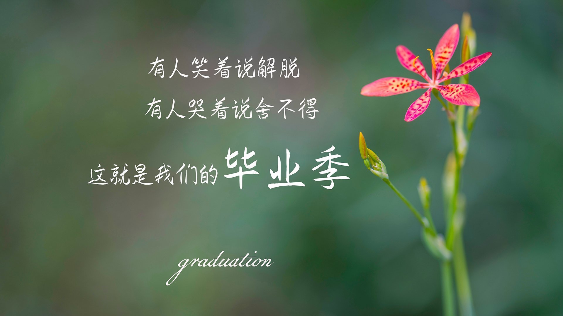 九游登录中心-国外运动员的交流经验分享，国外运动员培养